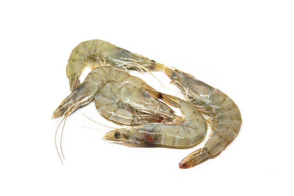 comprar-langostino-online-titajosefina