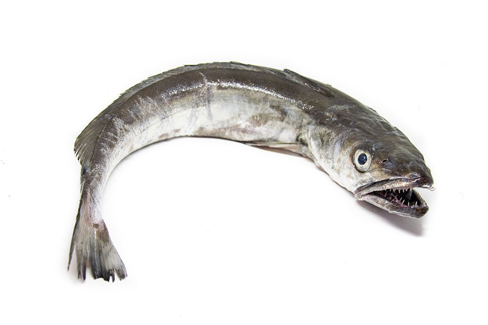 comprar-merluza-de-pincho-titajosefina